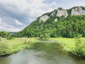 un río con una montaña en el fondo en Gasthaus Jägerhaus en Fridingen an der Donau