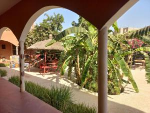 a view of a patio with chairs and plants at Begue Pokai in Toubab Dialaw