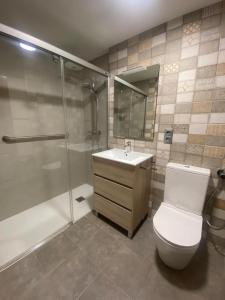 a bathroom with a toilet and a shower and a sink at APARTAMENTO TURIETO (BROTO-ORDESA) in Broto