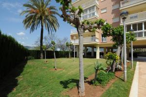 a palm tree in front of a building at PLAYASOL Orangecosta 1 dormitorio in Benicàssim