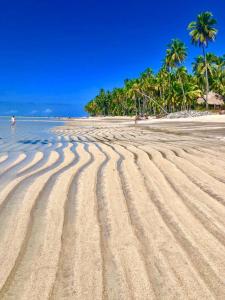 a sandy beach with palm trees in the background at Condomínio Praias de Maragogi & Casas Deluxe in Maragogi