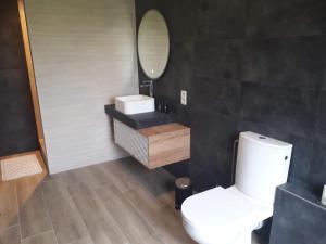 W łazience znajduje się toaleta, umywalka i lustro. w obiekcie Veronique schouckens w mieście Binche