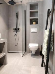 a bathroom with a shower and a toilet in it at Leilighet i Banhammaren med balkong in Henningsvær