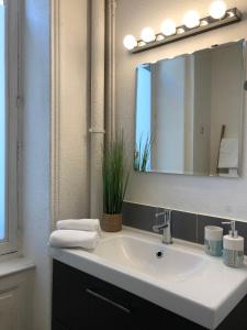 a bathroom with a sink and a mirror at Equateur-centre Jaude in Clermont-Ferrand