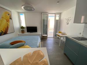 Kuchyň nebo kuchyňský kout v ubytování AMBER APARTMENTS - SUNNY STUDIO