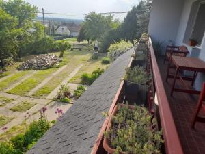 a balcony with potted plants on a roof at Dorina in Gyenesdiás