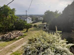 a person sitting on a bench in a garden at Dorina in Gyenesdiás +1 photo