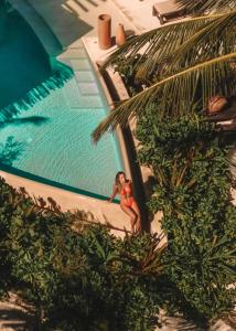Bazén v ubytování Hotel Ma'xanab Tulum nebo v jeho okolí