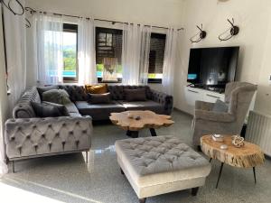 a living room with a couch and chairs and a tv at Luxeriöse Villa mit Bergblick in Donji Ljenobud