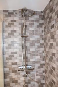 een douche met een douchekop in een badkamer bij Gîte les Eglantines Rez-de-Jardin in Gérardmer +43 foto's
