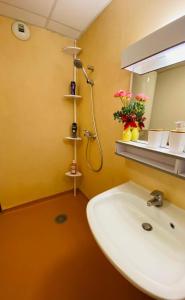 een badkamer met een wastafel, een douche en een spiegel bij Superbe appart avec de parking gratuit sur place in Lourdes