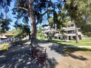 Gambar di galeri bagi A. & C. Michailidi (Haris Mihailidis) di Neos Marmaras