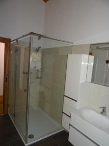łazienka z prysznicem i umywalką w obiekcie Appartement Klausner w mieście Bad Gastein +12 zdjęć