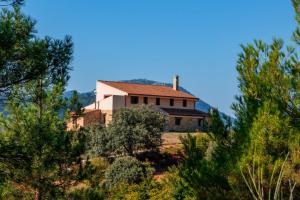 a house on top of a hill with trees at Piedra del Tesoro in Riópar