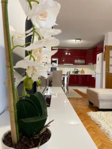 a living room with a table with a white flower at Guest House Ivano in Mostar