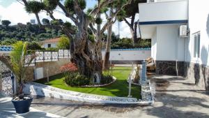 A garden outside VILLA LUDO a ZAMBRONE TROPEA
