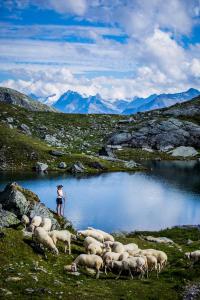 Paesaggio naturale nelle vicinanze del bed & breakfast