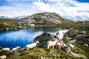 Paesaggio naturale nelle vicinanze del bed & breakfast