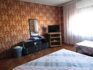 um quarto com uma cama, uma televisão e um espelho em Apartman Milena em Kladovo