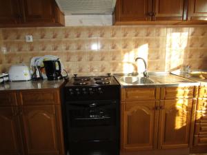 Kuchyň nebo kuchyňský kout v ubytování Apartman Milena