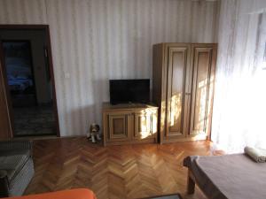 TV a/nebo společenská místnost v ubytování Apartman Milena