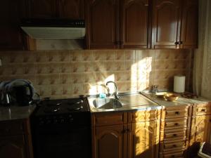 Kuchyň nebo kuchyňský kout v ubytování Apartman Milena