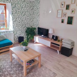 ein Wohnzimmer mit einem TV und einem Tisch in der Unterkunft Gîte Belle Fleur 6 personnes- Vosges in Saint-Nabord