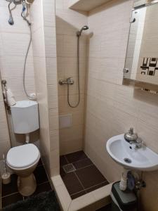 y baño con ducha, aseo y lavamanos. en Csillag Apartman, en Kisvárda