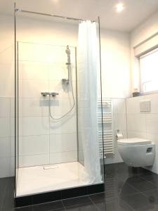 a bathroom with a shower and a toilet at Loft Appartement Seven in Friedrichshafen