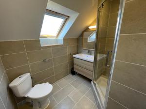 a bathroom with a toilet and a shower and a sink at Gites La Ville Pain in Cancale