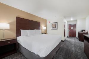 Postel nebo postele na pokoji v ubytování Cobblestone Hotel & Suites - Urbana
