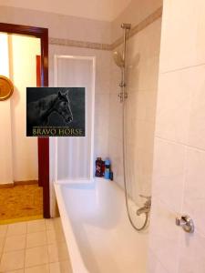 BRAVO HORSE tesisinde bir banyo