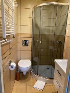 a small bathroom with a shower and a toilet at Gościniec BEATA in Łagów +24 photos