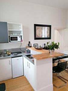 Kuchyň nebo kuchyňský kout v ubytování Le SAMBIN-TERRASSE -CENTRE VILLE