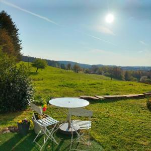 una mesa y dos sillas sentadas junto a un campo en Cabane des lutins - Belle Fleur, en Saint-Nabord