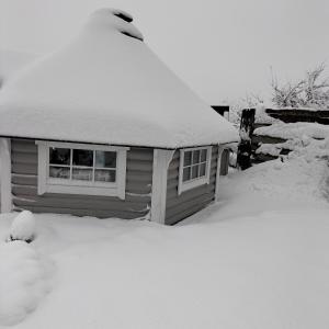 Cabane des lutins - Belle Fleur v zimě