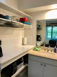 eine Küche mit einer Spüle und einer Arbeitsplatte in der Unterkunft Big Island Retreat in Kailua-Kona