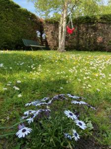 um ramo de flores na relva ao lado de uma árvore em A la "Georgette" et son jardin avec parking em Villers-sur-Mer