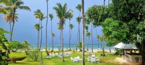 Lanskap alam di dekat hotel