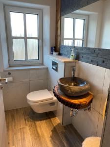 a bathroom with a sink and a toilet at Allgäu-Chalet Kaufbeuren in Kaufbeuren