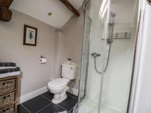 a bathroom with a toilet and a shower at Stockwell Hall Cottage in Sebergham +21 photos
