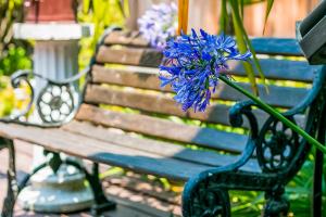 Zahrada ubytování Santa Barbara Beach Cottage + 21 fotografií