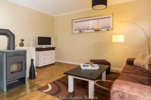 LietzowLietzow Appartementhaus Möwe Haus Möwe - Ferienwohnung 3 "Lachmöwe"的带沙发和壁炉的客厅