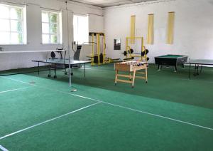 a tennis court with ping pong tables in a room at Landpension Dubnitz Landpension Dubnitz - Ferienwohnung 8 