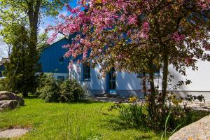 un edificio azul con un árbol con flores rosas en Ferienanlage Kap Arkona - App 7, en Putgarten