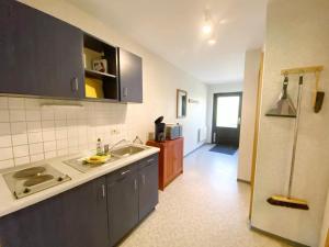 eine Küche mit einer Spüle und einer Arbeitsplatte in der Unterkunft Landpension Dubnitz Landpension Dubnitz - Ferienwohnung 4 