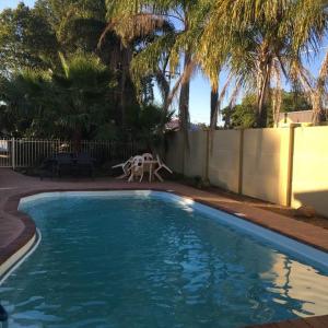 a swimming pool with a table and chairs and palm trees at Parkes Country Cabins in Parkes