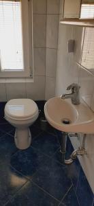 a bathroom with a toilet and a sink at Apartma Dana-Brinjtesa in Jesenice +11 photos