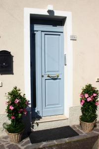 uma porta azul com duas plantas à frente em Affittacamere dei desideri em Numana
