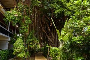 a garden with trees and plants in a building at 4U Resort Samui in Lamai